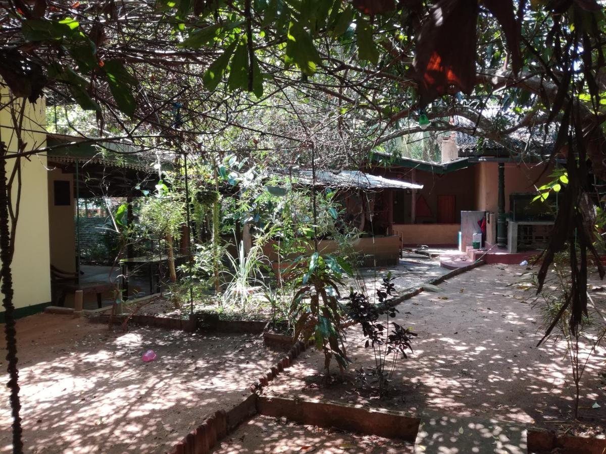 Sigiriya Freedom Lodge Dambulla Eksteriør bilde