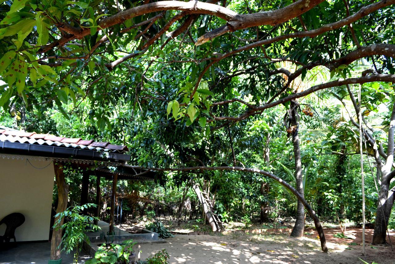 Sigiriya Freedom Lodge Dambulla Eksteriør bilde