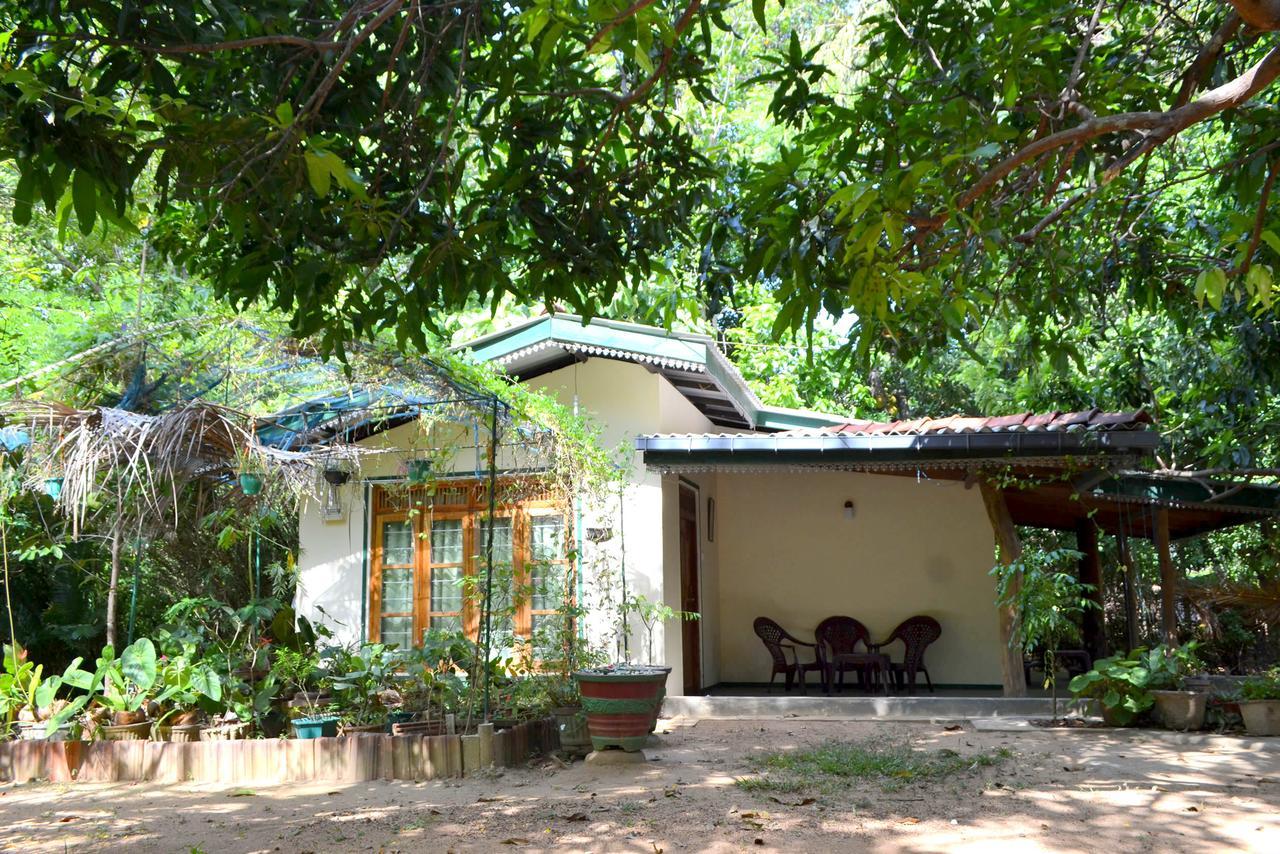 Sigiriya Freedom Lodge Dambulla Eksteriør bilde