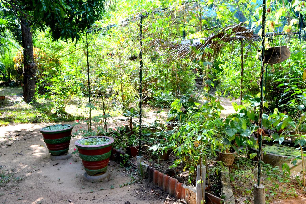 Sigiriya Freedom Lodge Dambulla Eksteriør bilde