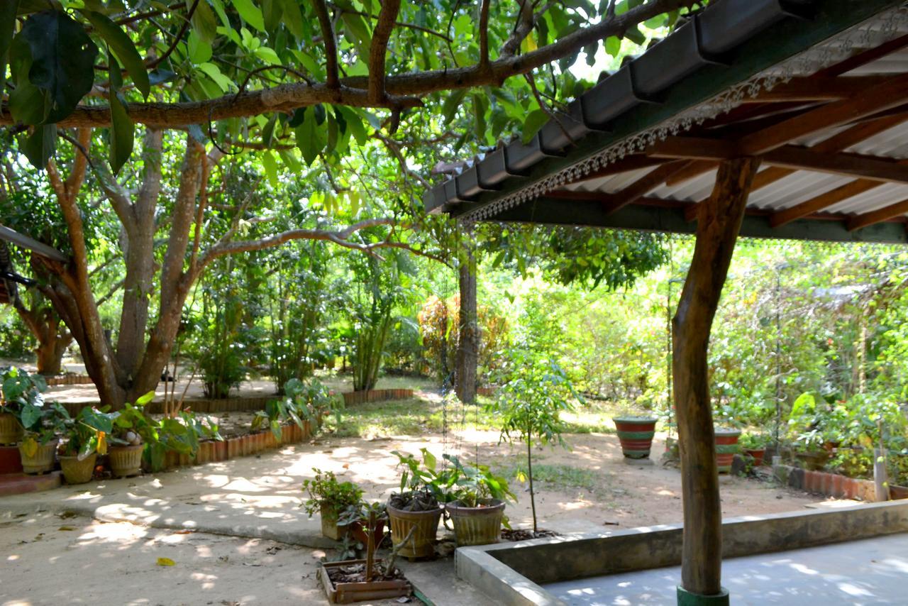 Sigiriya Freedom Lodge Dambulla Eksteriør bilde