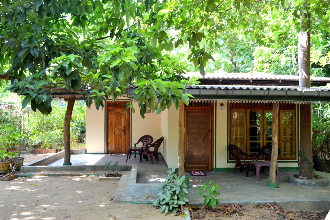 Sigiriya Freedom Lodge Dambulla Eksteriør bilde